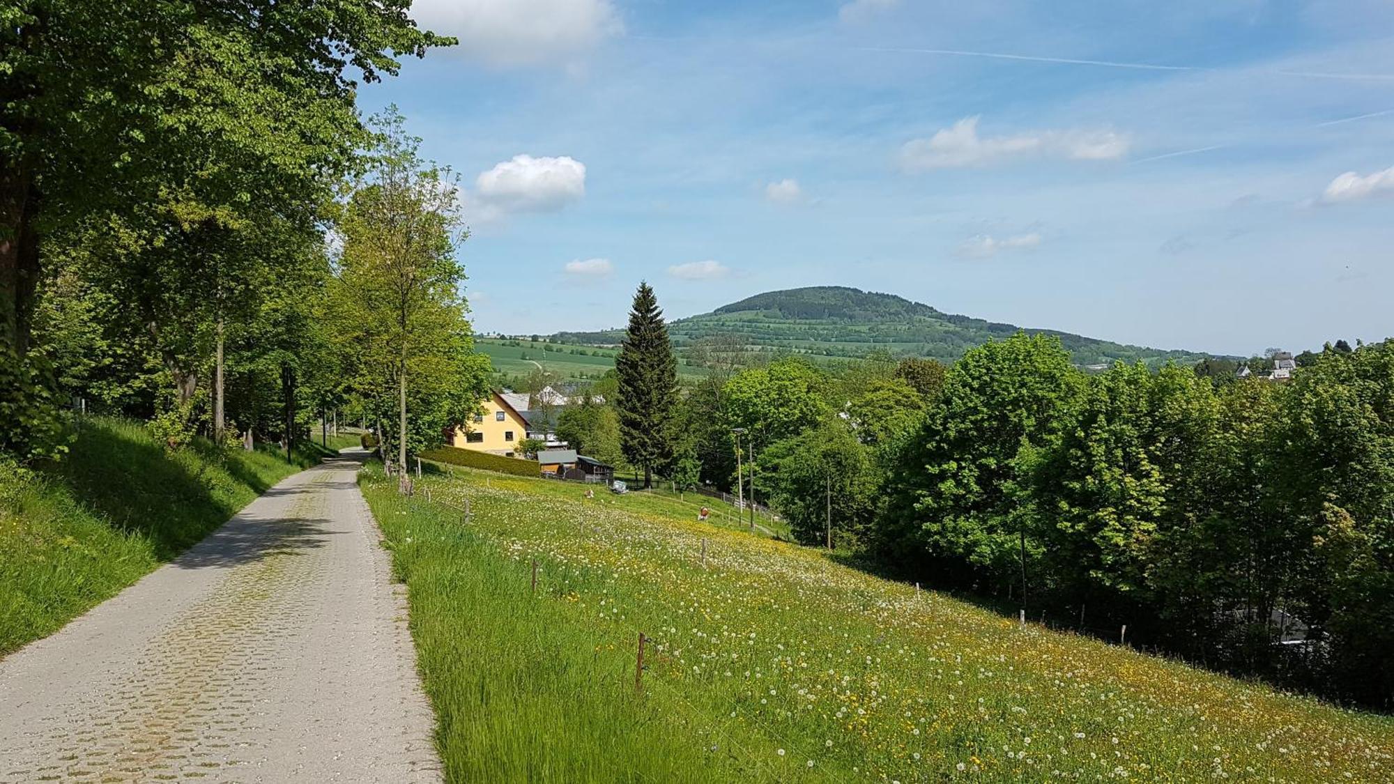 דירות Konigswalde Waldhufenidyll Koenigswalde Im Erzgebirge מראה חיצוני תמונה